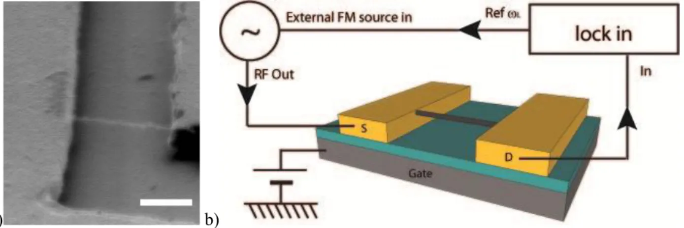 Figure 1. (a) SEM image of one of our devices with a suspended nanotube between 2 gold electrodes 