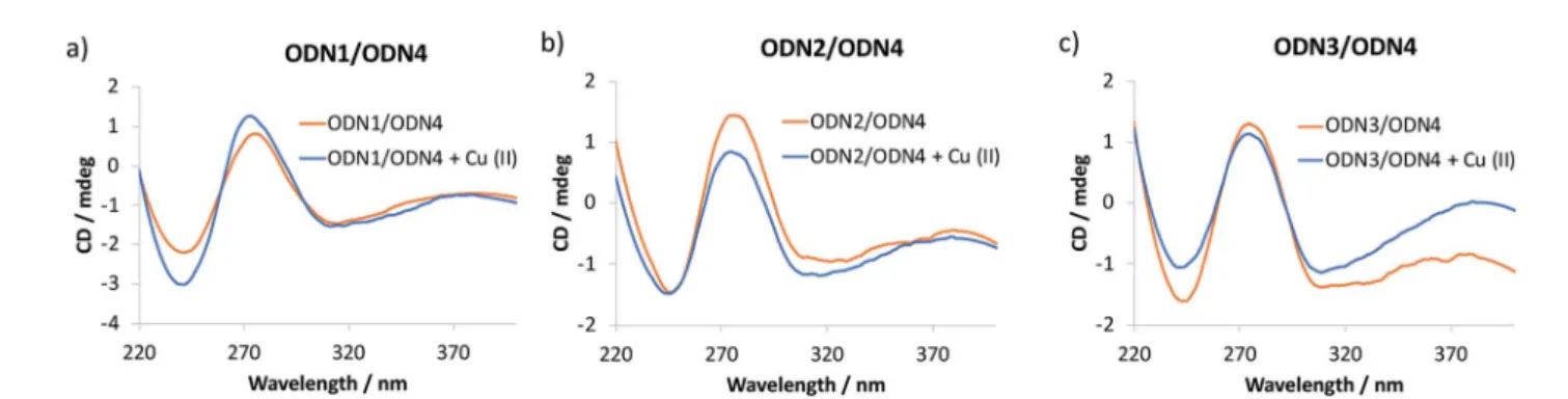 Table 2 Melting temperatures ( T m ) of covalently modi ﬁ ed duplexes in the absence (  ) and presence (+) of Cu( II ) ions