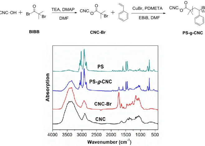 Figure 2.1. FTIR spectra of pristine CNC, CNC-Br, PS-g-CNC after 2 h reaction, and free PS.