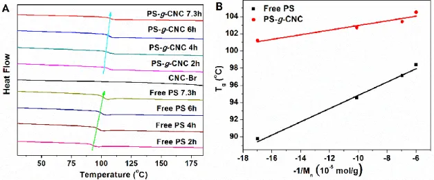 Figure 2.8. (A) DSC curves of CNC-Br, free PS, and PS-g-CNC at different polymerization  time; (B) T g  of free PS and PS-g-CNC as a function of -1/M n free PS 