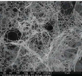 Figure  8: SEM micrograph of NFC, mechanically isolated from oat straw cellulose  powder 12