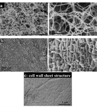 Figure  12:  SEM images of NFC foams obtained by freeze-drying: a) Fast freezing  (bottom layer); b-c) Slow freezing (layer &gt; 3 mm)