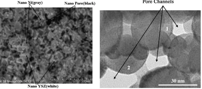 Figure 21 :  Electrode à hydrogène obtenue par projection de nano poudres agglomérées  Ni/YSZ  [49]