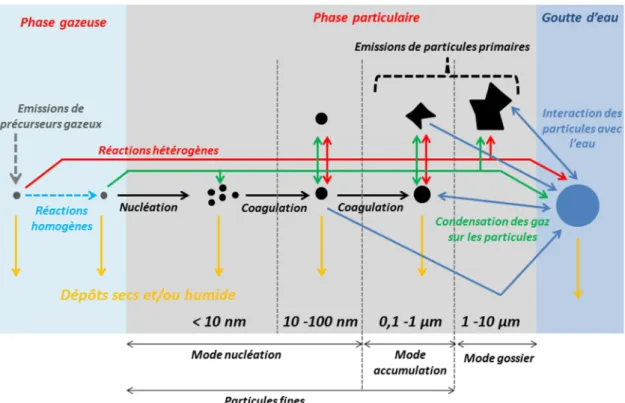 Figure  I-  4  Schéma  simplifié  des  processus  physico-chimiques  de  formation  et  transformation  des  aérosols (adapté de « Air quality criteria for Particulate Matter », US-EPA (2004) [18] et de la thèse  de D-T