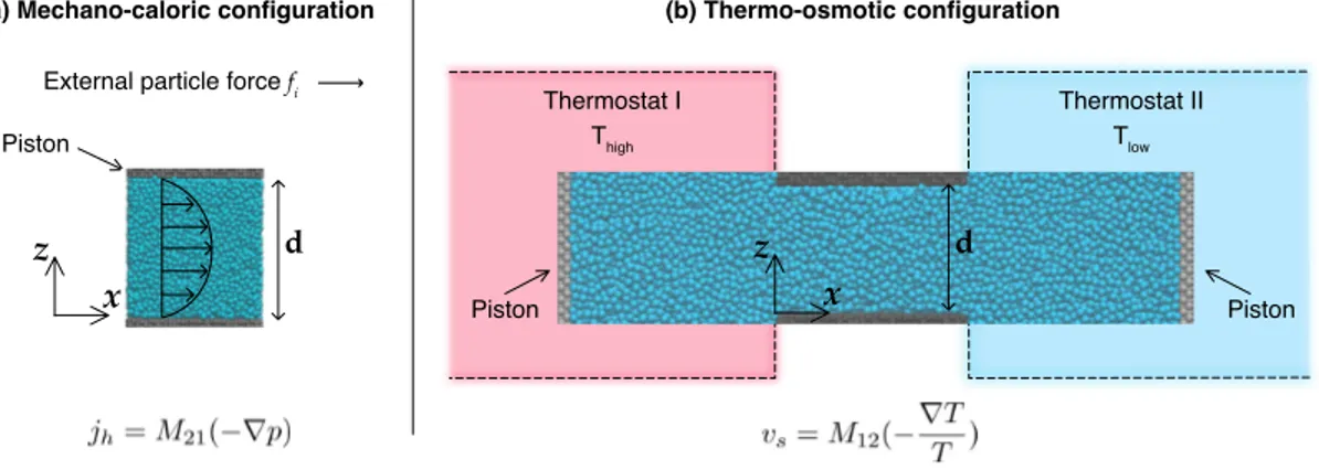 FIG. 1. Illustration of the different configurations used to measure the thermo-osmosis coefficient with molecular dynamics simulations