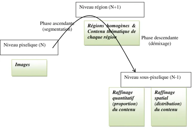 Figure 0.1 : Brique conceptuelle générique exploitant la richesse des connaissances portant sur des niveaux sémantiques  voisins N-1, N et N+1 (avec N correspondant ici au niveau pixelique) 