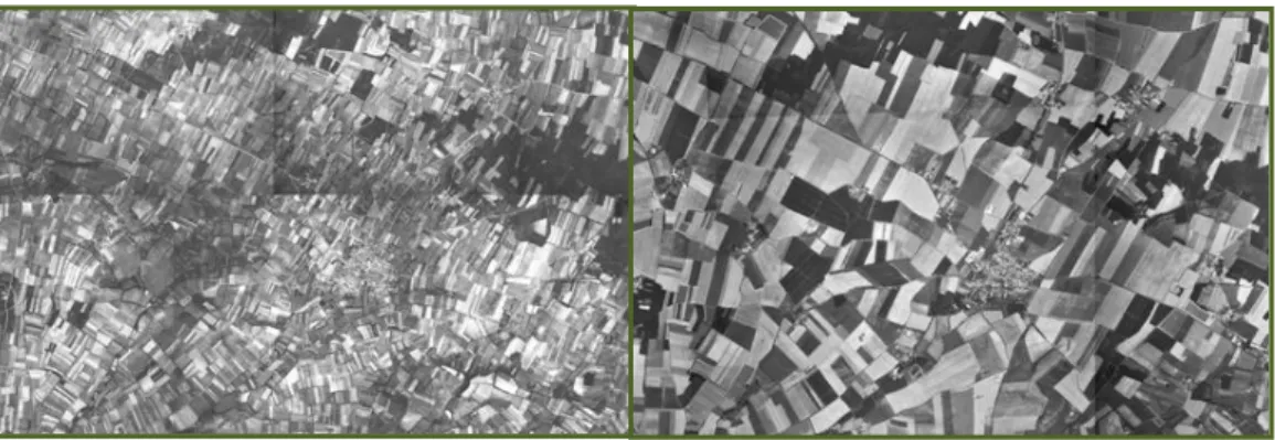 Figure 1 : Paysage rural  en 1950 (à gauche) et en 1999 (à droite). 