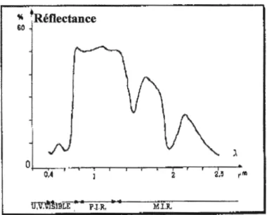 Fig. 02:  Spectre de réflectance d'une feuille verte (Devineau,  1990) 