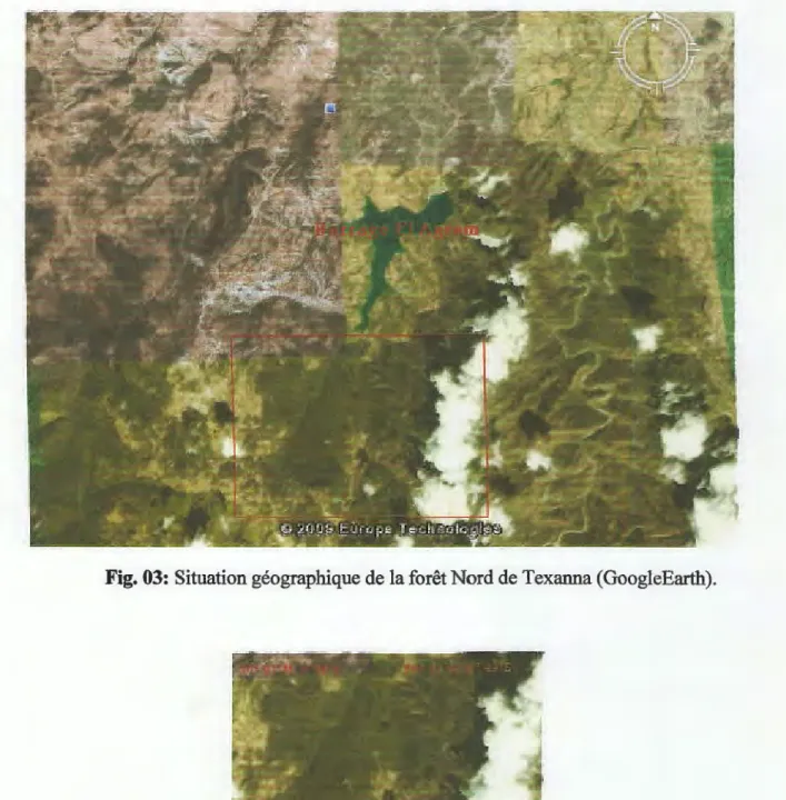 Fig. 03: Situation géographique de la forêt Nord de Texanna (GoogleEarth). 
