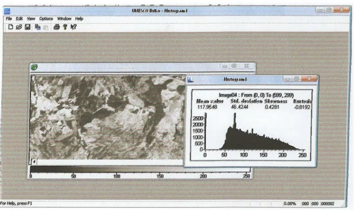 Fig. 08:  Histogramme NDVI  dans la forêt Nord de Texanna. 