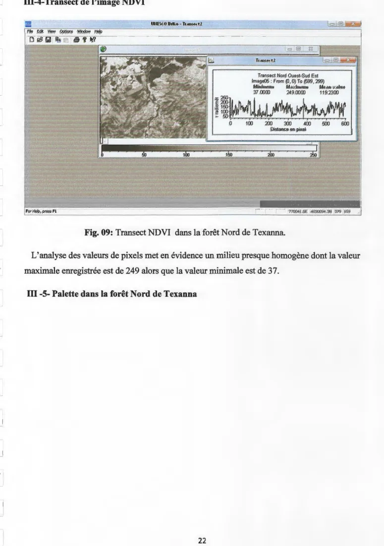 Fig. 09: Transect NDVI  dans la forêt Nord de Texanna 