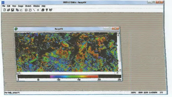 Fig. 10:  image NDVI couleur de la forêt Nord de Texanna obtenue après  application  d'une palette de couleurs