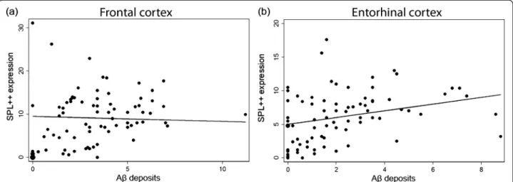 Figure 4 Correlation between neurons with strong expression of SPL and Aβ deposits. (a) Packing density of SPL++ neurons and density of Aβ deposits are not correlated in frontal cortex