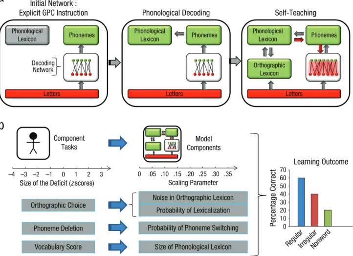 Fig. 1.  Schematics illustrating how a developmentally plausible computational model of reading development can be used to predict  learning outcomes