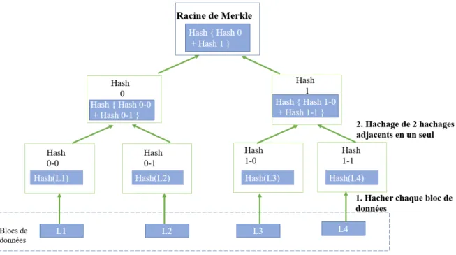 Figure 1.24 – Representation de l’arbre de merkle