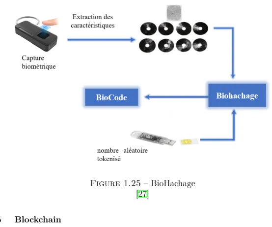 Figure 1.25 – BioHachage [27]