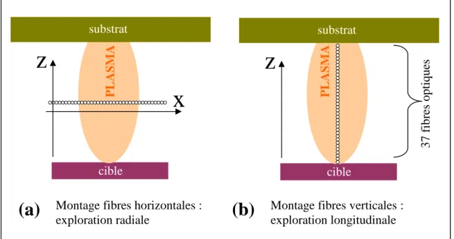 Figure 3.5 : Orientations des fibres en fonction du type d’observation : (a) radiale, (b) longitudinale