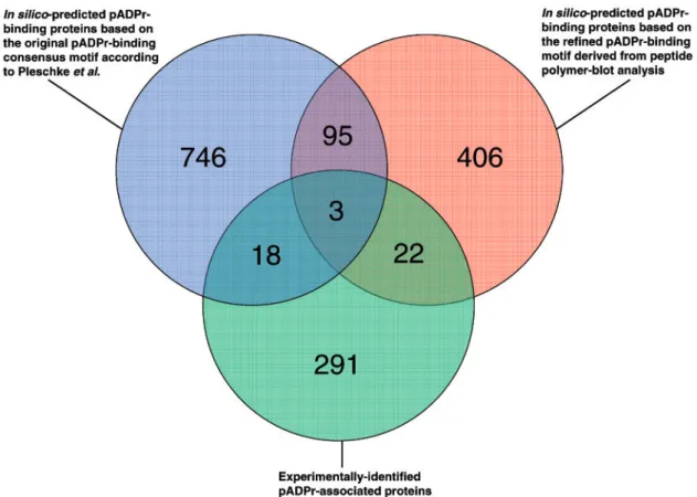 Figure 9. Venn diagram illustrating the overlap between the three pADPr binding candidates datasets described in this study
