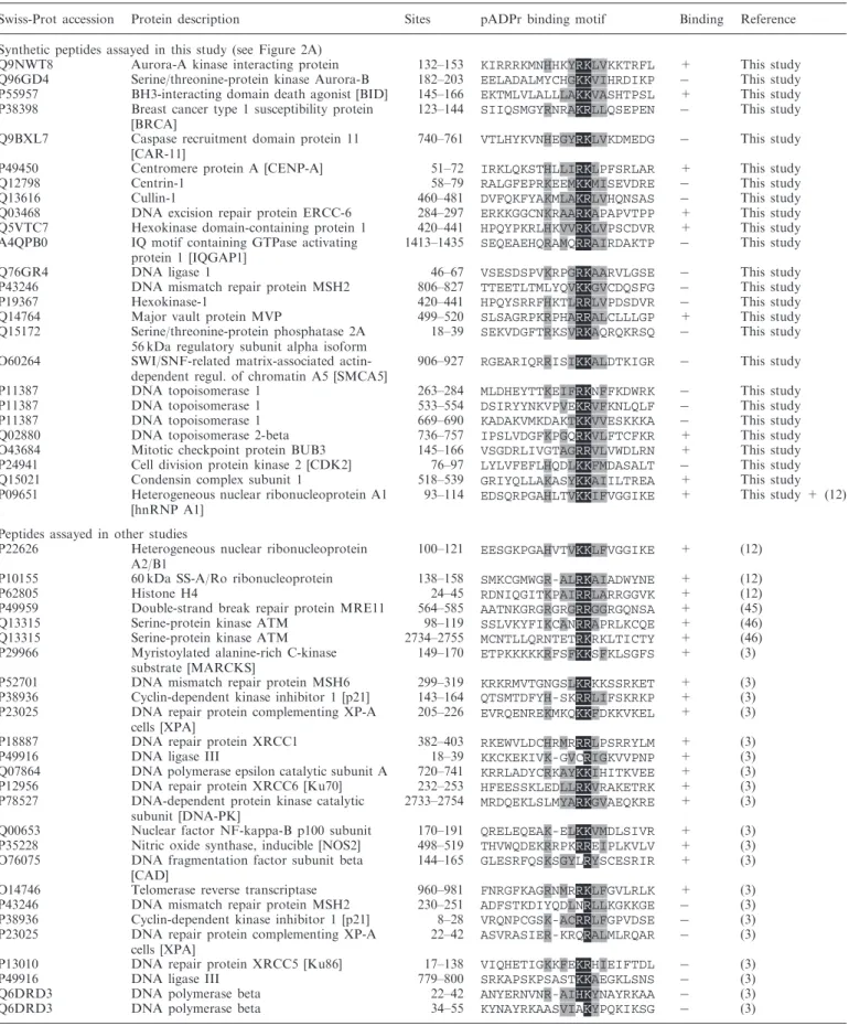 Table 1. Comprehensive protein sequence alignment of predicted pADPr binding motifs screened by polymer blot analysis