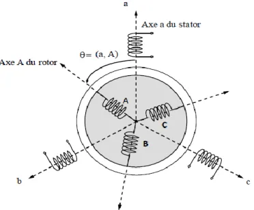 Figure II.1 : Représentation des enroulements de la machine asynchrone triphasée. 