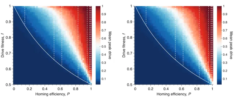 Figure 7. Mean peak drive for varying homing efficiency, P, and drive-individual fitness values, f (i.e., individuals with genotypes WD, DD, and DR), assuming that fitness affects birth rate (left) or death rate (right)
