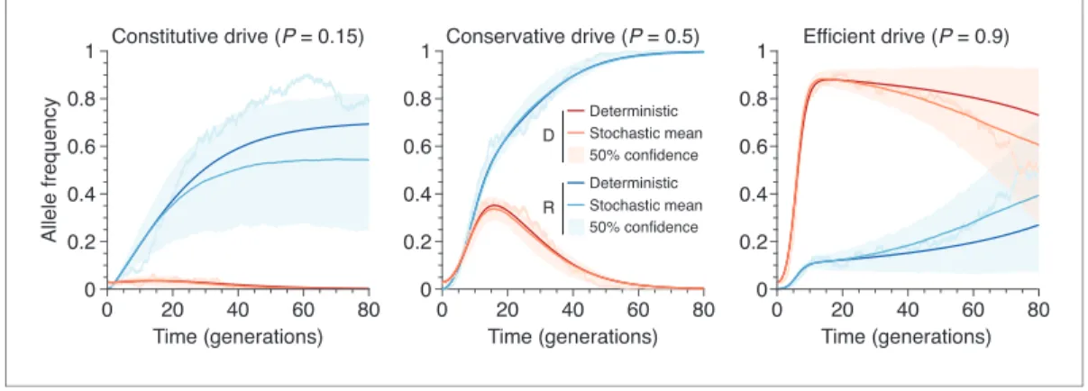 Figure 10. Finite-population simulations of 15 drive individuals released into a wild population of size 500, assuming low (P ¼ 0 : 5 ) or high (P ¼ 0 : 9 ) homing efficiencies, as well as a low-efficiency, constitutively active system (P ¼ 0 : 15 )
