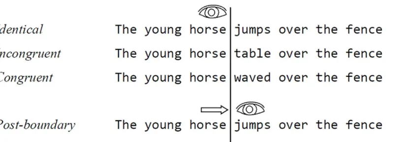 Fig 1. Experiment 1 condition examples. The upper three sentences show what a stimulus could look like in three conditions before the eyes cross the boundary (vertical line)
