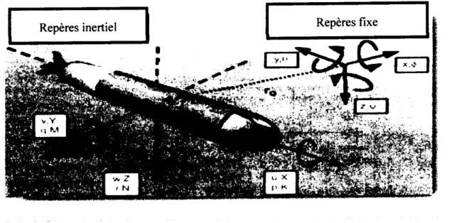 Figure 1.5 : Repère fixe et inertiel.