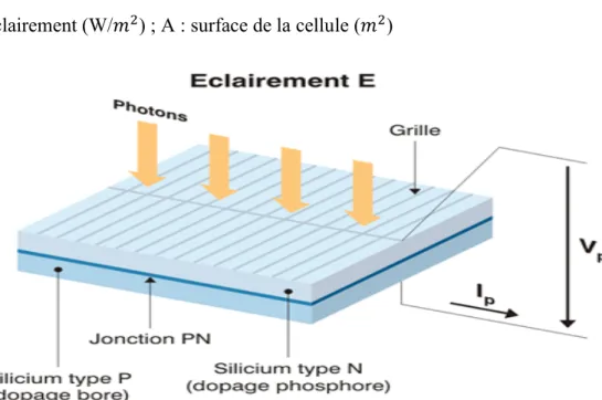 Figure I.4: Structure d’une cellule photovoltaïque. 