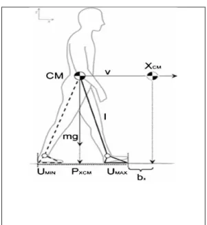 Figure I.1: Le corps de l ’ être humain vu comme un double pendule . 