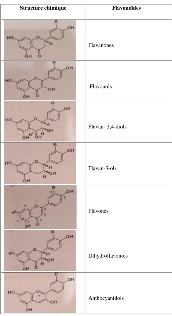 Tableau I.1 : Structure chimique de différentes classes de flavonoïdes (Bruneton, 1999)