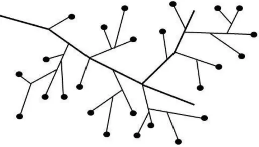 Figure I.4 :  Schéma d’une structure arborescente.