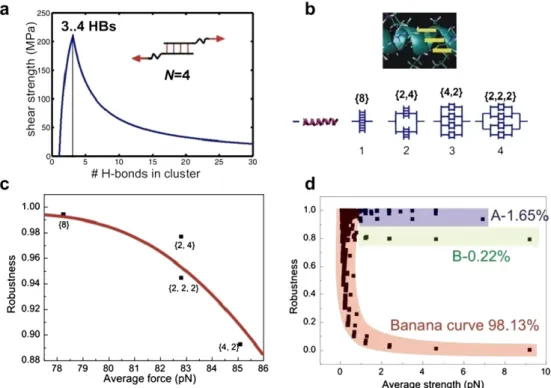 Fig. 21. Size effect and strengtherobustness relation for alpha-helical protein ﬁlaments, composed out of clusters of H-bonds