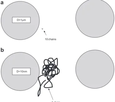 Fig. 1. Simpliﬁed view of the relative size of a single polymer chain with R g ¼ 5 nm and particles with diameter D ¼ 1 m m at 7 vol.% of the ﬁller, when the average distance between regularly arranged particles is about 2 particle diameters