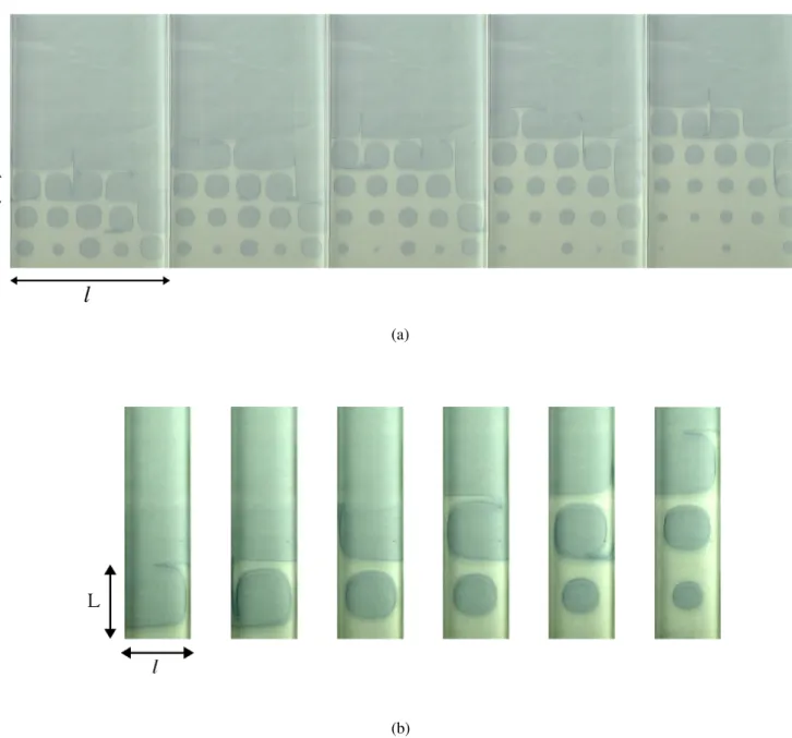 Fig. 2 Front propagation in a vortex array (a) or in a vortex chain (b). Times regularly increases from left to right while fronts propagate upwards