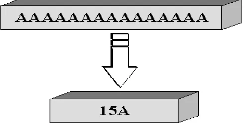 Figure II.2: Compression RLE. 