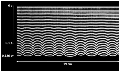 Fig. 8 Flame front at successive moments, close to the top of the Hele Shaw cell, showing the linear development of the hydrodynamic instability, forced propagation