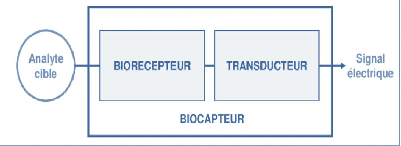 Figure I.1 : Représentation schématique d’un biocapteur. 