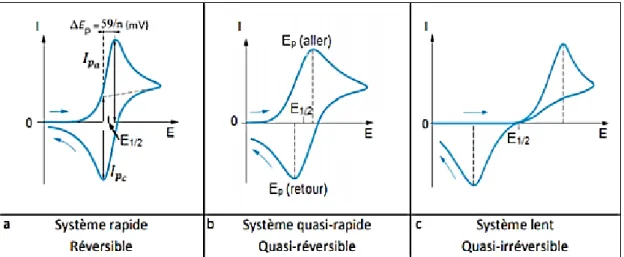 Figure I.6 : Profil d’un voltammograme cyclique pour un système rapide [24]. 