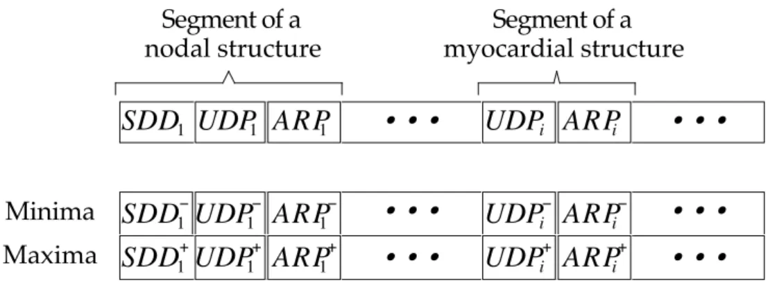 Figure 4. Chromosome representation for the evolutionary algorithm of intra-beat adaptation