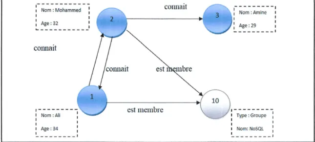 Figure  1.8  :  Illustration  d'une  Base de  donndes orient6e  graphe  [16]