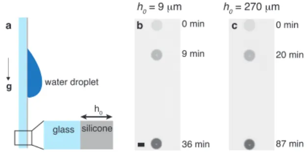 Fig. 1. Sliding of a droplet on a soft layer. (a) A water droplet is deposited on the surface of a glass slide covered with a poly(dimethylsiloxane) layer of thickness h 0 