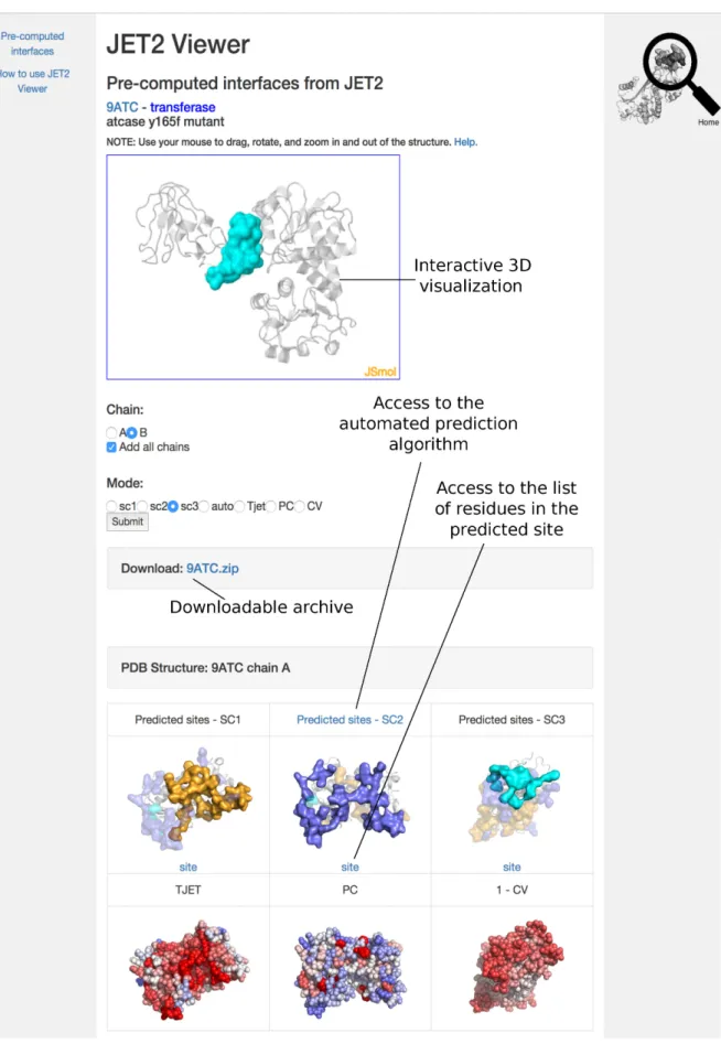 Figure 2. Example of online JET2 Viewer display. On top, the 3D interactive JSmol plugin shows the site predicted by SC3 for chain B of the PDB entry 9ATC