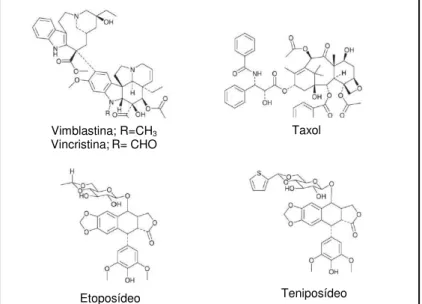 Figura  1  -  Estruturas  de  algumas  drogas  anticâncer  derivadas  de  plantas em uso  clínico