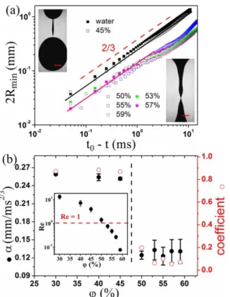 FIG. 1. (Color online)  (a)  Thinning  dynamics  2R min  vs  (t 0  −  t )  for water and 40  μ m suspensions with  ϕ  varying from 45% to 59%