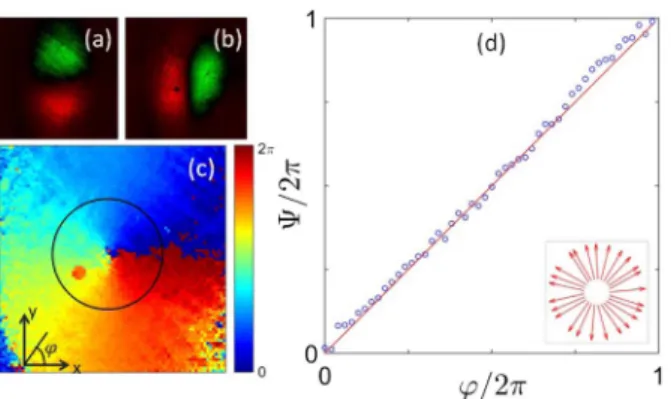 Fig. 5. Analysis of azimuthally polarized THz beam ( θ  π∕2 ).