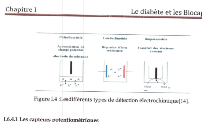 Figure  I.4  : types de détection  électrochimique[  I  4].