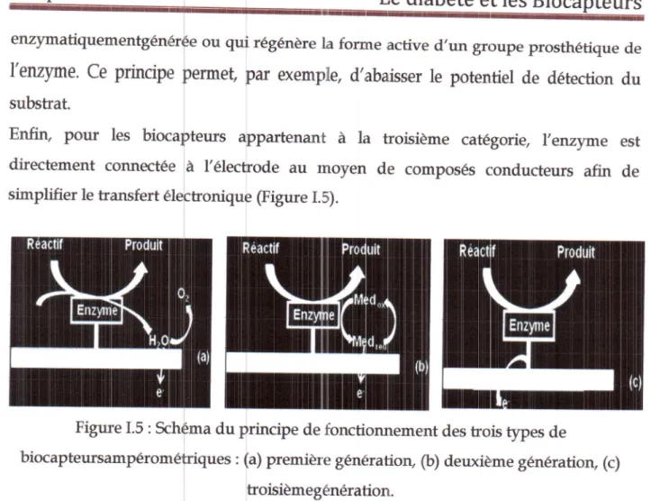 Figure  I.5  :  fthfma  du