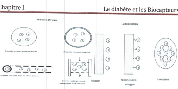 Figure  I.7  :  Représentadon