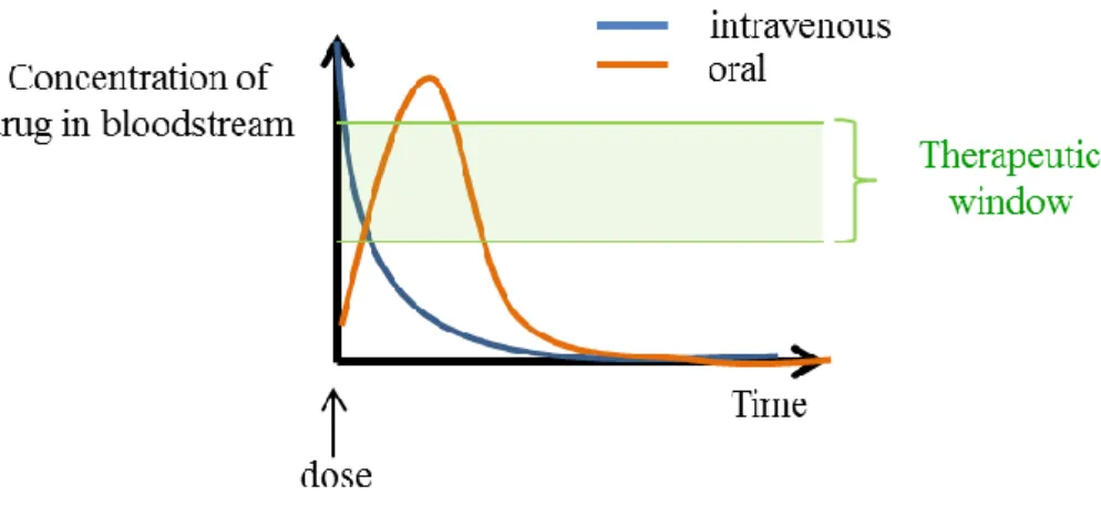 Figure  I.1 shows the drug  release profiles obtained by oral  and intravenous  delivery